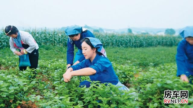 房车网 房车网