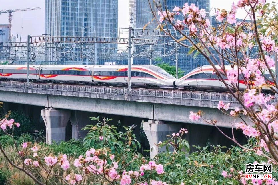 房车网