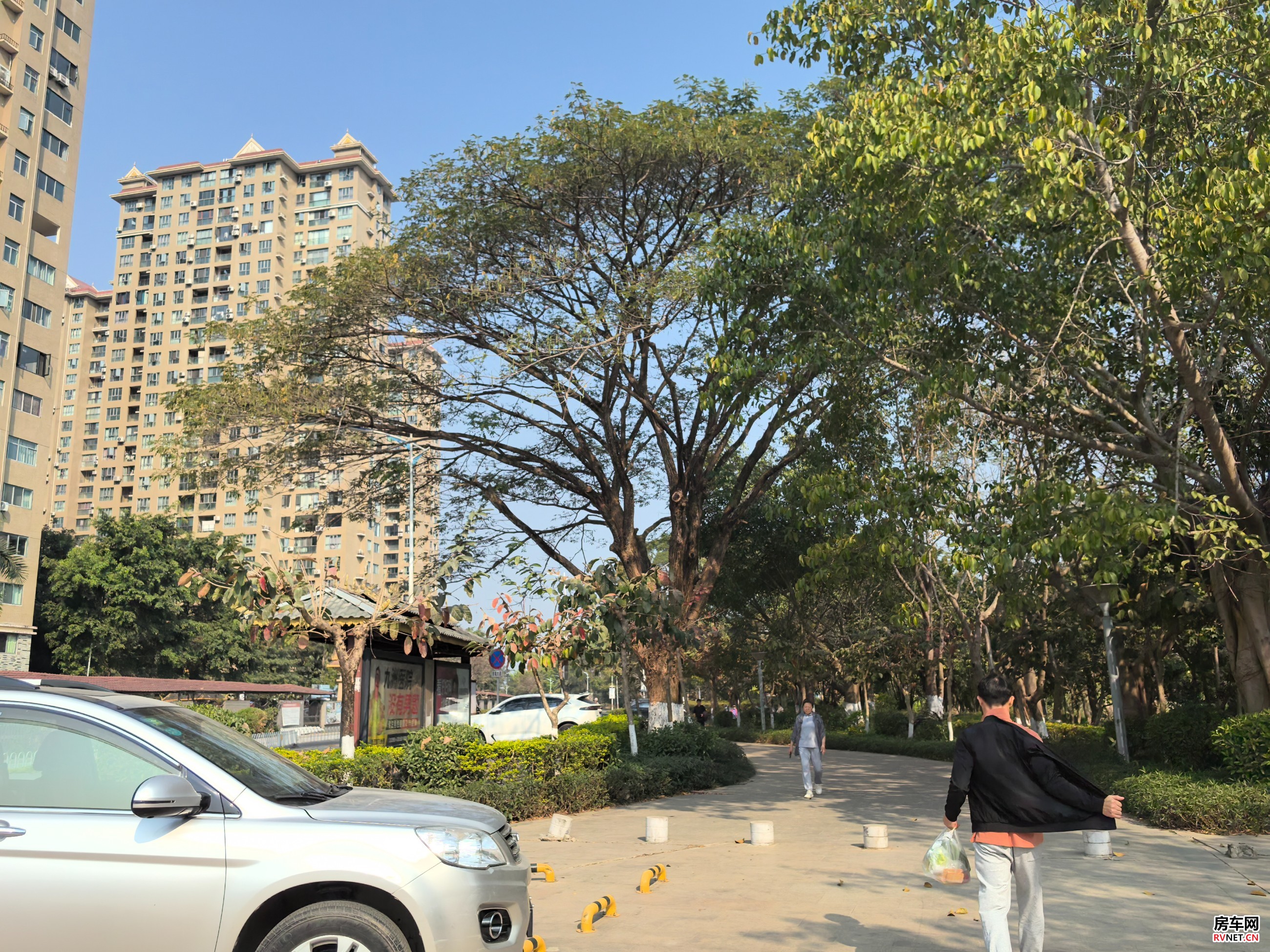 房车网
