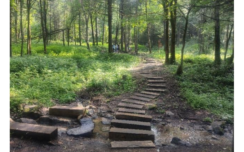 黑龙江省伊春市兴安国家森林公园成为房车旅游者驻留基地