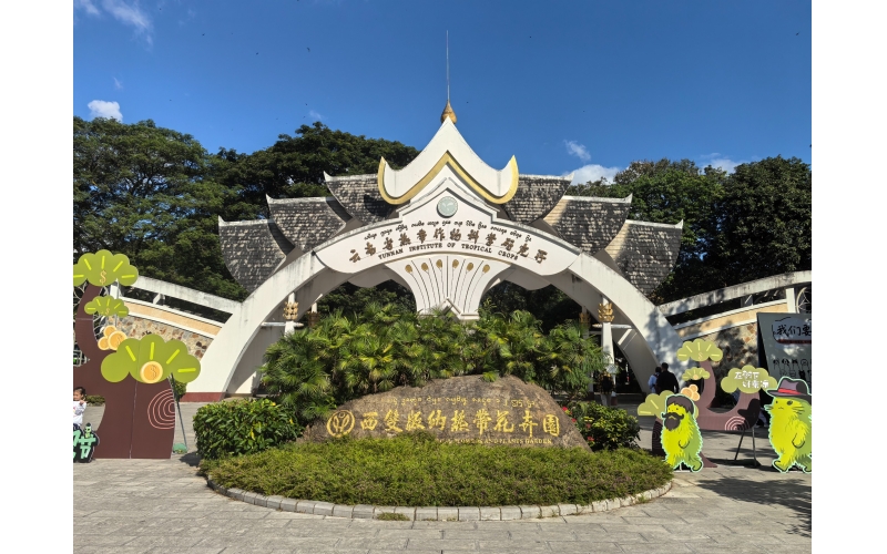 图片 云南西双版纳热带花卉园