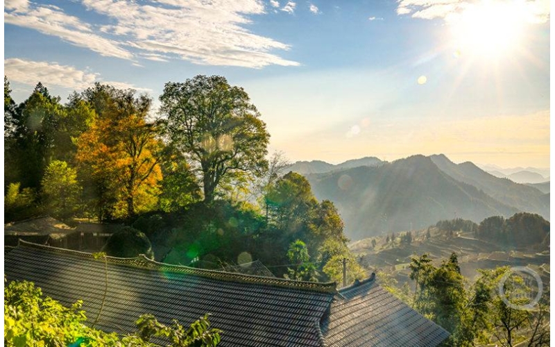 图片 冬趣（97）｜上游主题摄影征稿作品展——何毅作品