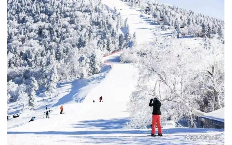 吉林长白山，为什么成了文旅界的“茅台”？