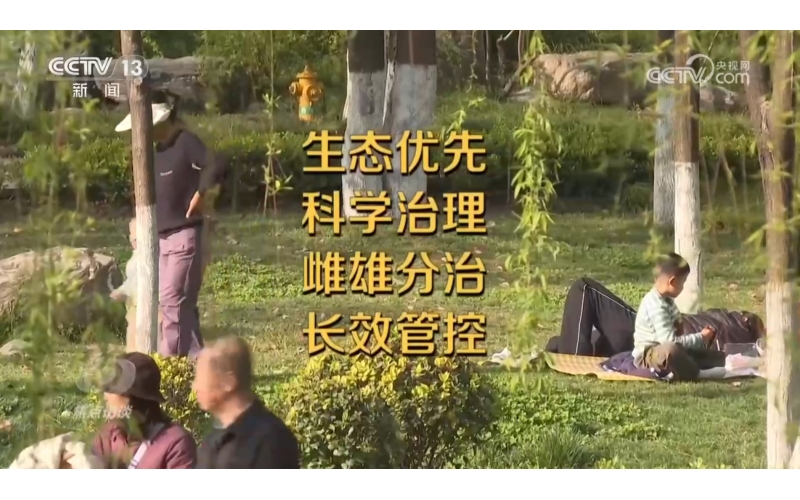 焦点访谈｜花粉过敏成&ldquo;隐形烦恼&rdquo;，如何应对？一文了解